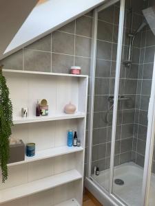 baño con ducha y estanterías blancas en Charmant T3- Vue Panoramique, en Sévrier