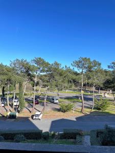 Fotografia z galérie ubytovania Ref 550 Seignosse Océan, joli Studio rénové de 21m pour 2 personnes proche plage et centre v destinácii Seignosse