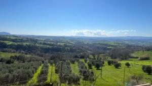 una vista desde la cima de una colina con césped verde en POGGIO&TRAMONTO, en Otricoli