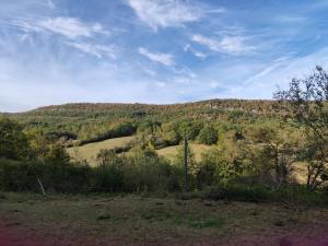 uma vista para uma colina com árvores sobre ela em Gite de Mailhac em Loubières