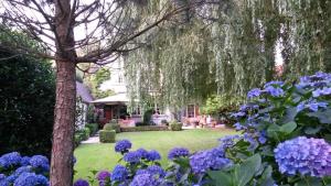 B&B Willow Lodge في De Pinte: حديقة بها زهور أرجوانية وشجرة