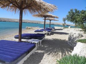 Φωτογραφία από το άλμπουμ του Apartments Perla σε Dinjiška