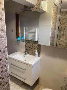 uma casa de banho com um lavatório branco e um espelho. em Villa Green em Sarajevo