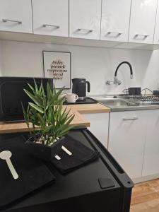 Kjøkken eller kjøkkenkrok på Apartament Diselvio