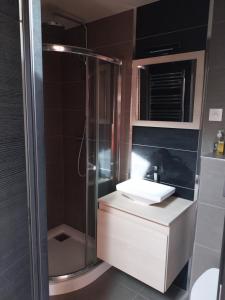 een badkamer met een douche en een wastafel bij le prieuré reposant in Notre-Dame de la Mer