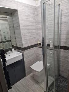 a bathroom with a toilet and a sink and a shower at Luxurious Two-Bedroom Suite with Patio & EV power in Greenhithe
