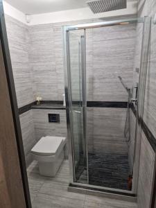 a bathroom with a toilet and a glass shower at Luxurious Two-Bedroom Suite with Patio & EV power in Greenhithe