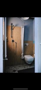 a bathroom with a shower with a toilet and a sink at Chalet Epinel in Villaret