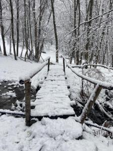 een met sneeuw bedekte trap in een bos met bomen bij Chalet Epinel in Villaret