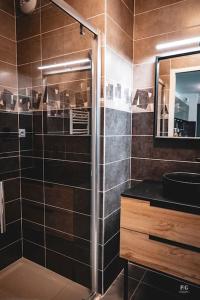 uma casa de banho com um chuveiro, um lavatório e um espelho. em Le Doran Familial Parking WIFI em Sallanches