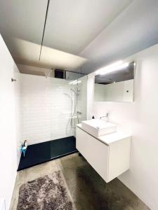y baño blanco con lavabo y ducha. en Loft Antwerp - Eilandje, en Amberes
