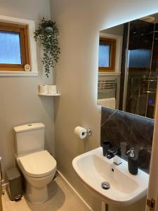 a bathroom with a toilet and a sink at Cathwill - Cosy 4 Star Cottage - Cairngorm National Park in Newtonmore