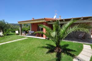 uma casa com uma palmeira no quintal em Affittacamere B&B La Villa dei Graniti em Villasimius