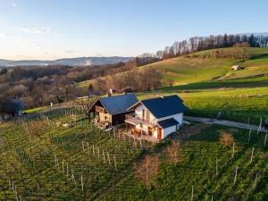 una vista aérea de una casa en un viñedo en Vineyard cottage Majolka en Novo Mesto