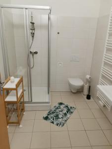 y baño con ducha y aseo en el suelo de baldosa. en Gästehaus Hebalm, Family & Friends auf 900 m2 Wohnfläche erleben, Alleinnutzung möglich, en Pack