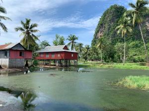 una casa accanto a un corpo di acqua con palme di NASRUL HOUSE HOMESTAY FOR BACKPACKERS a Maros