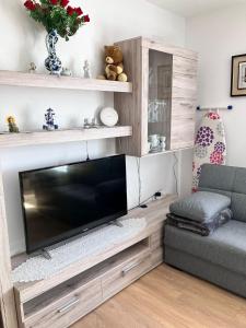 TV a/nebo společenská místnost v ubytování App Martina