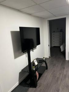 TV a/nebo společenská místnost v ubytování Elegant Private Room