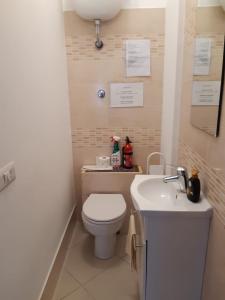 a small bathroom with a toilet and a sink at A casa di Elsa in Rome
