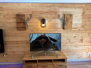 ティールゼーにあるGemütliche und moderne Ferienwohnung in Tirol, FeWo 5の木製の壁に設置された薄型テレビが備わります。