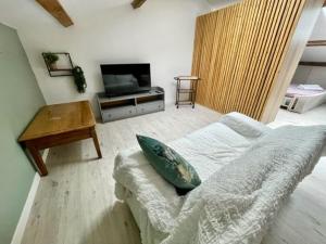 TV a/nebo společenská místnost v ubytování LES VIEUX PLATANES