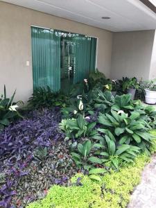 Zahrada ubytování Flat completo próximo ao INPA + 2 fotografie