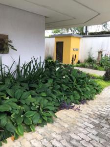 Zahrada ubytování Flat completo próximo ao INPA