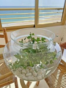 eine Glasschüssel mit einer Pflanze auf dem Tisch in der Unterkunft Oasis Frente al Mar. Parking Gratis in El Campello