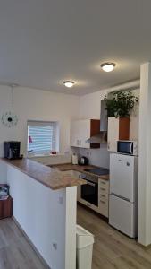 Kuchyň nebo kuchyňský kout v ubytování Apartmán 10