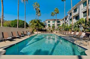 una piscina con sillas y palmeras en un hotel en DoubleTree by Hilton San Pedro, en San Pedro