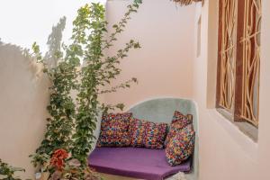 江比阿尼的住宿－Marvelous Zanzibar，紫色长凳,配有枕头和植物