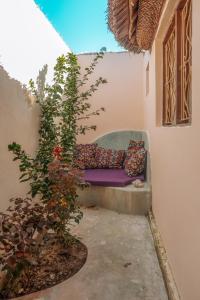 um sofá sentado num canto de uma sala com uma planta em Marvelous Zanzibar em Jambiani
