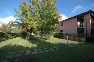 podwórko z drzewem i domem w obiekcie Acquacheta w mieście Marina di Campo