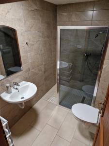 W łazience znajduje się prysznic, umywalka i toaleta. w obiekcie Pension U Martina w mieście Domažlice