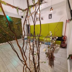 Napoli Centro Suite e Spa في نابولي: غرفة ذات جدار أخضر ونباتات