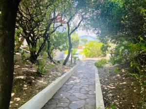 A garden outside Villa GREG stupenda location sulla spiaggia con accesso diretto al mare