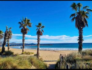 a group of palm trees on a beach at Le Venise 3 Etoiles Frejus in Saint-Aygulf
