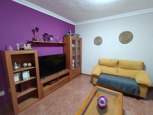 TV a/nebo společenská místnost v ubytování Rincón de Joel Habitación con baño privado