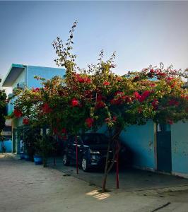 een boom met rode bloemen voor een gebouw bij Gooseberry Garden in Ayodhya