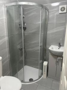 W łazience znajduje się prysznic, toaleta i umywalka. w obiekcie London Holiday Home w Londynie
