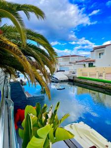 - Vistas a un canal con una palmera en Medes 15 - Magnifica Villa con piscina privada y a en Ampuriabrava