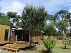 une petite cabine avec une terrasse et un arbre dans l'établissement CAMPING LES OURMES, à Hourtin