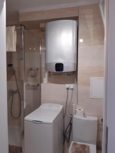 a small bathroom with a toilet and a shower at Sopot Center Saba Appartement in Sopot