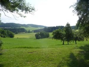a green field with two trees in the middle at Ferienhaus Breit in Eppenschlag