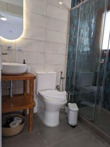 y baño con aseo, lavabo y ducha. en The Botanist Guesthouse, en Skopelos Town