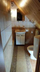 a bathroom with a sink and a toilet at Eco Sadyba Chertizh in Tatariv +67 photos