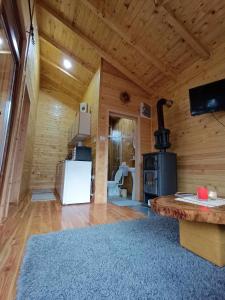 un soggiorno con frigorifero bianco e piano cottura di Wooden Mountain Villa a Berovo
