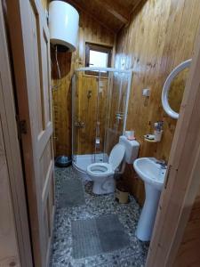 a bathroom with a toilet and a sink at Wooden Mountain Villa in Berovo