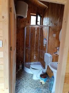 a bathroom with a shower and a toilet and a sink at Wooden Mountain Villa in Berovo