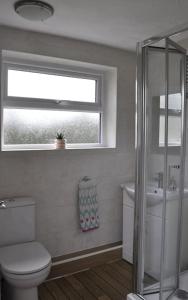 La salle de bains est pourvue de toilettes, d'un lavabo et d'une fenêtre. dans l'établissement Ocean Breeze, Gower Holiday Village. Allows Dogs, à Swansea